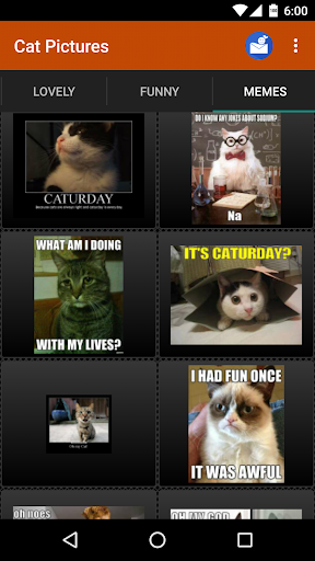 Cat wallpapers and funny pics - عکس برنامه موبایلی اندروید