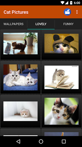 Cat wallpapers and funny pics - عکس برنامه موبایلی اندروید