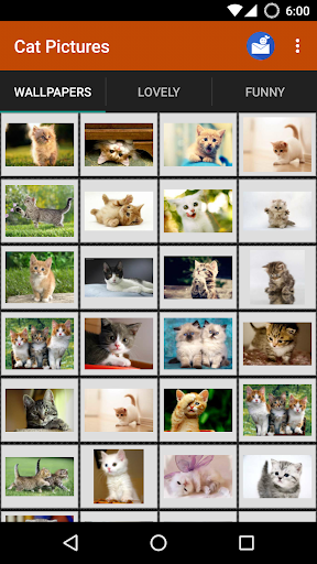 Cat wallpapers and funny pics - Image screenshot of android app