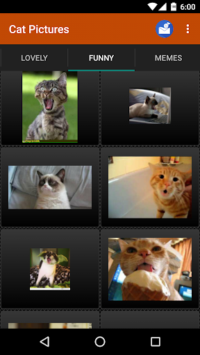 Cat wallpapers and funny pics - عکس برنامه موبایلی اندروید