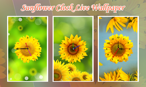 Sunflower Clock Live Wallpaper - عکس برنامه موبایلی اندروید