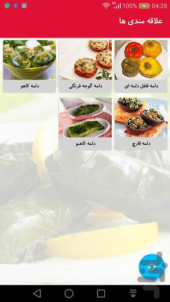 دستور پخت انواع دلمه - Image screenshot of android app
