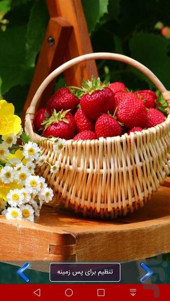 پس زمینه غذا و نوشیدنی ۱ - عکس برنامه موبایلی اندروید