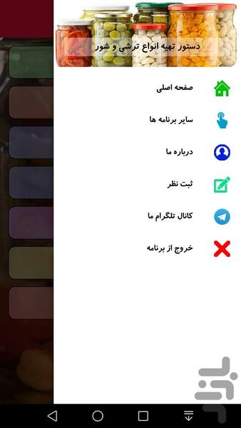 دستور تهیه انواع ترشی و شور - Image screenshot of android app