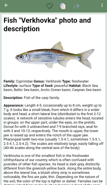 Reference book of fish - Image screenshot of android app