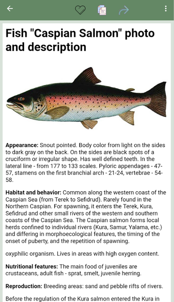 Reference book of fish - Image screenshot of android app