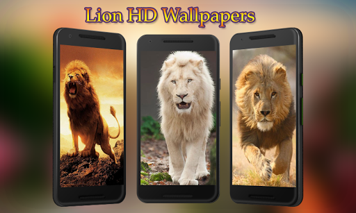 Lion Wallpapers HD - Image screenshot of android app