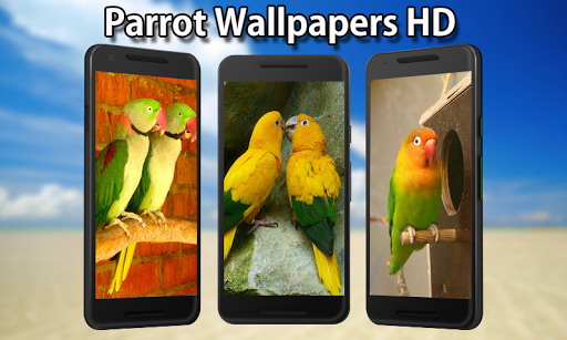 Parrot Wallpapers HD - عکس برنامه موبایلی اندروید