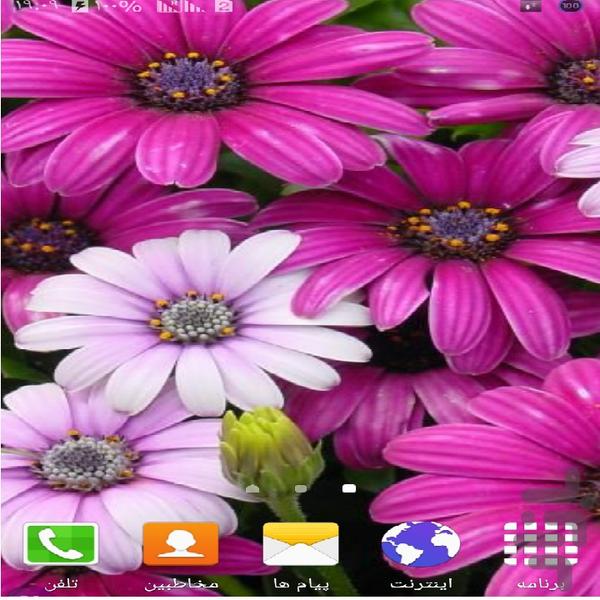 گل بنفش - عکس برنامه موبایلی اندروید
