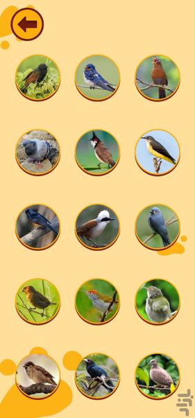 Dog And Cat Translator - Image screenshot of android app