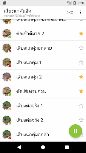 Barred buttonquail Sounds - Image screenshot of android app