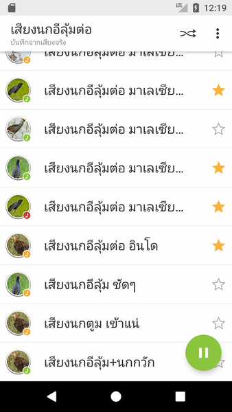 Watercock Bird Sound - Image screenshot of android app