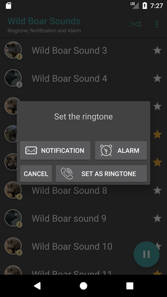 Wild Boar Sounds - Image screenshot of android app