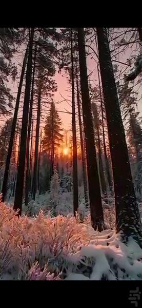 دانلود وضعیت - Image screenshot of android app