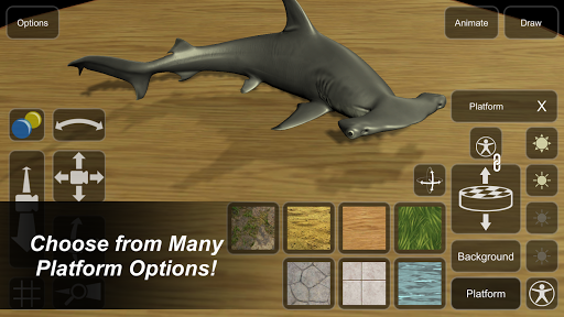 Shark Mannequin - Image screenshot of android app