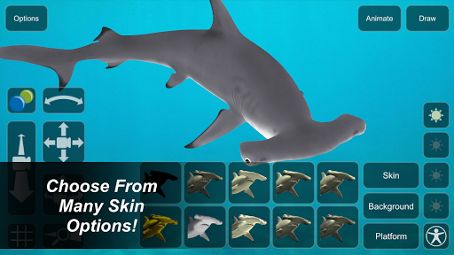 Shark Mannequin - Image screenshot of android app