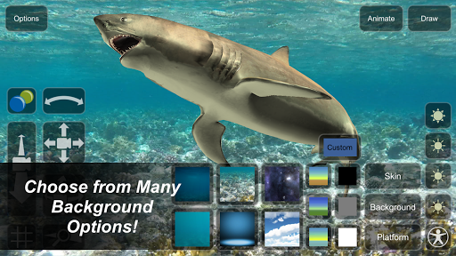 Shark Mannequin - Image screenshot of android app