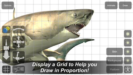 Shark Mannequin - Image screenshot of android app