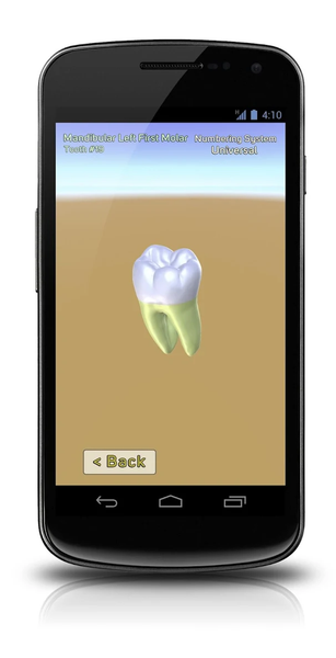 3D Tooth Anatomy - Image screenshot of android app