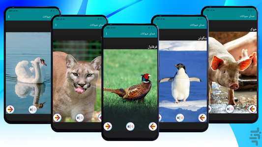 Animal Sound for Android - Download | Cafe Bazaar Animal Sound for Android - Download | Cafe Bazaar