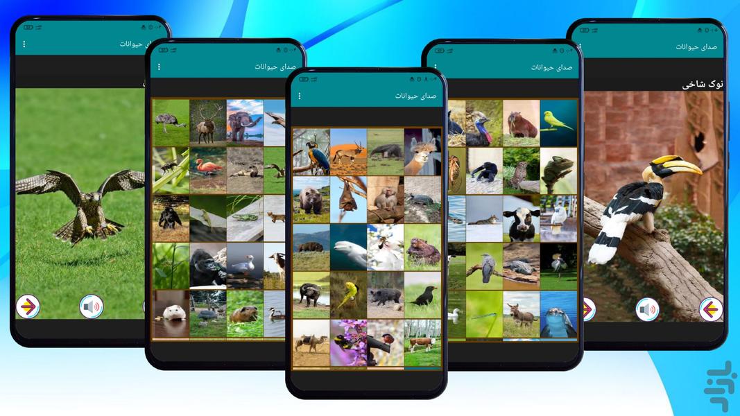 Animal Sound - Image screenshot of android app