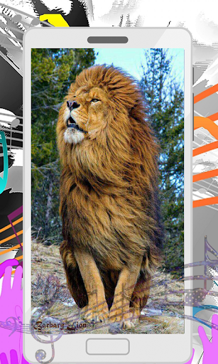 Lion Sounds - Image screenshot of android app