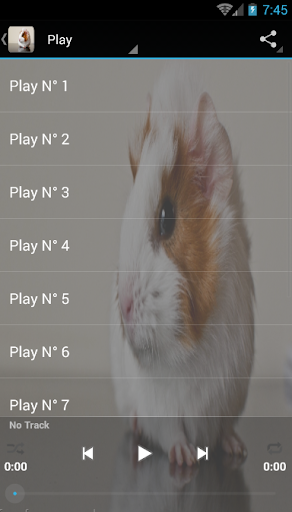 Guinea Pig sounds - Image screenshot of android app