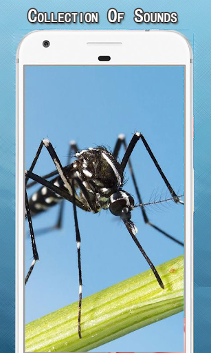 Mosquito Sounds Ringtone - عکس برنامه موبایلی اندروید
