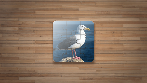 Bird Puzzle Games - عکس بازی موبایلی اندروید