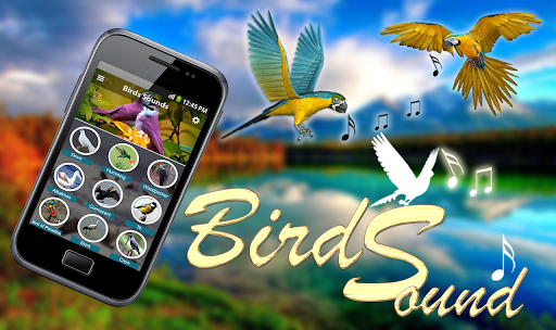 Birds Sounds Ringtones - عکس برنامه موبایلی اندروید