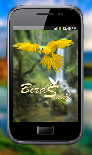Latest Bird Ringtones 2019 - Image screenshot of android app