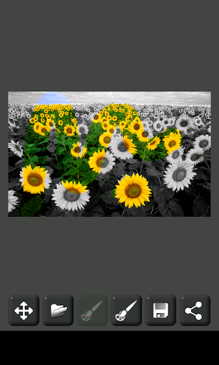 Image Decolorizer - عکس برنامه موبایلی اندروید