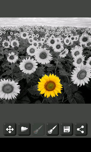 Image Decolorizer - عکس برنامه موبایلی اندروید