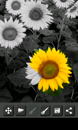 Image Decolorizer - عکس برنامه موبایلی اندروید