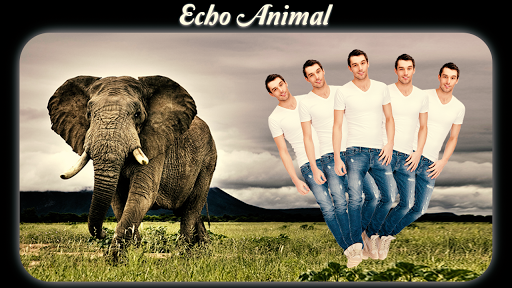 Echo Animal Effect : best echo mirror with animal - Image screenshot of android app