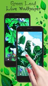Green Leaf APUS Live Wallpaper - عکس برنامه موبایلی اندروید