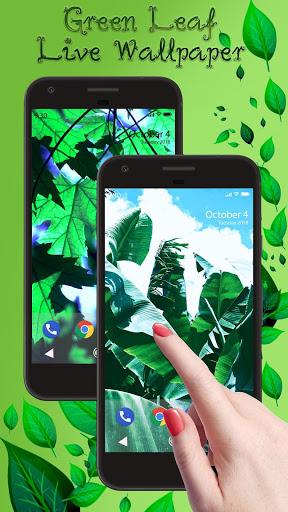 Green Leaf APUS Live Wallpaper - Image screenshot of android app