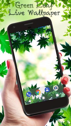 Green Leaf APUS Live Wallpaper - Image screenshot of android app