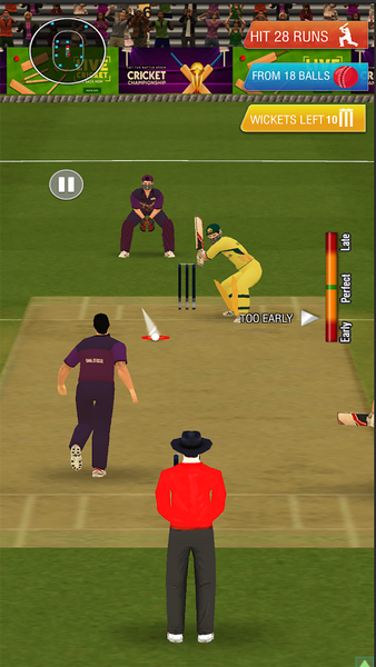 Super Chase Cricket Challenge - Gameplay image of android game