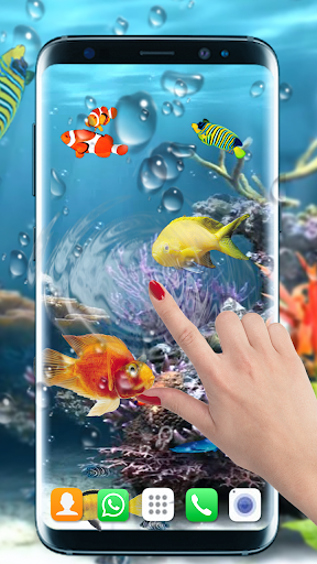 aquarium fish wallpaper free download