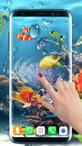 Aquarium Fish Live Wallpaper 3D:Fish Background HD for Android - Download |  Cafe Bazaar