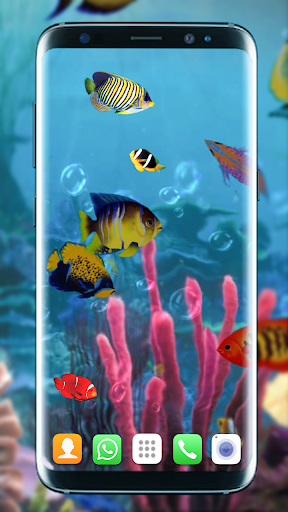 Aquarium Fish Live Wallpaper 3D:Fish Background HD for Android - Download