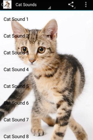 Cat Sounds - Image screenshot of android app