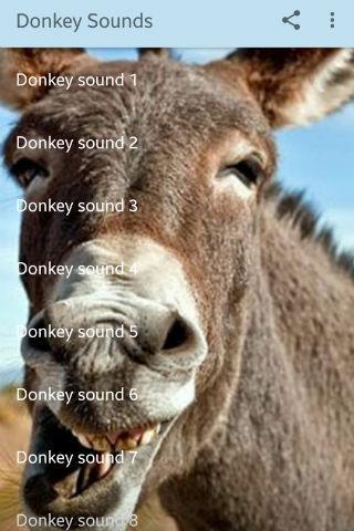 Donkey Sounds - Image screenshot of android app