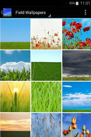 Field Wallpapers - Image screenshot of android app