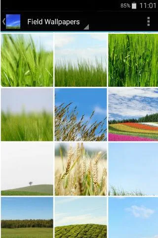 Field Wallpapers - Image screenshot of android app