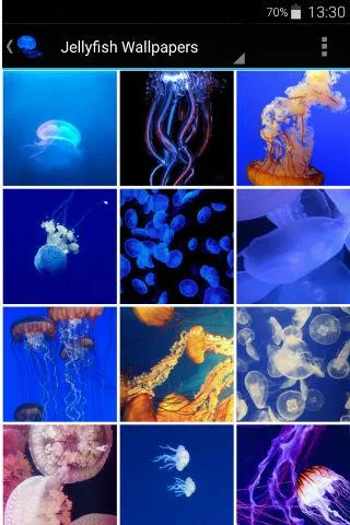 Jellyfish Wallpapers - عکس برنامه موبایلی اندروید