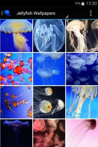 Jellyfish Wallpapers - عکس برنامه موبایلی اندروید