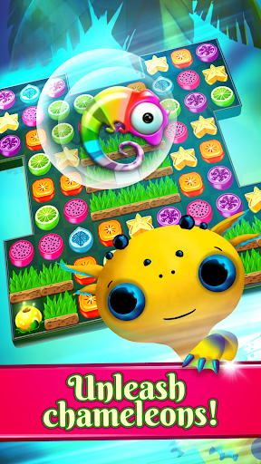 Cute Dragons: Exotic Squash - Image screenshot of android app