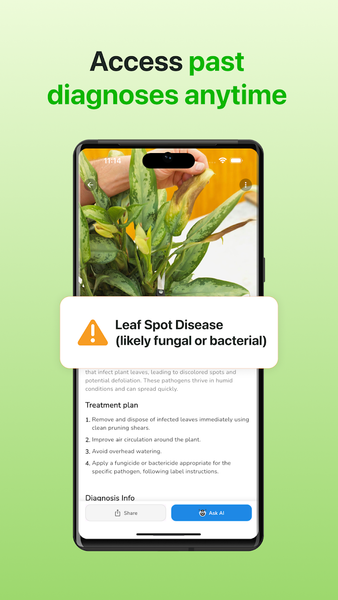 Plant Disease Diagnosis App - Image screenshot of android app